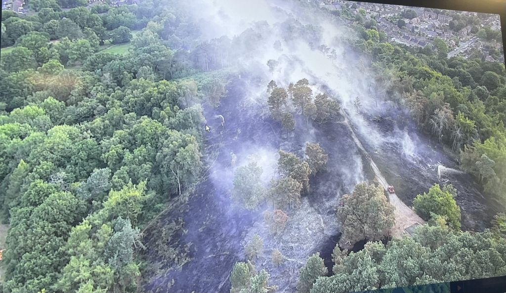 Lickey Hills fire S Pink