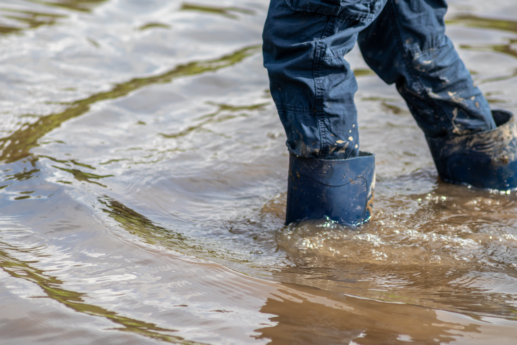 Flood Water